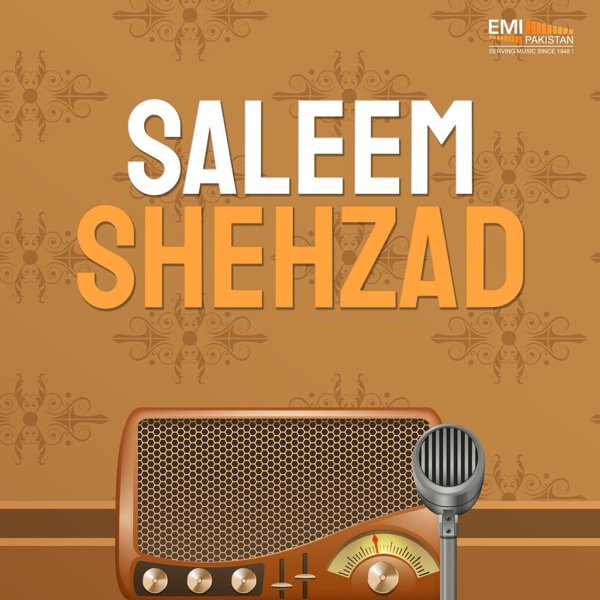 Saleem Shehzad