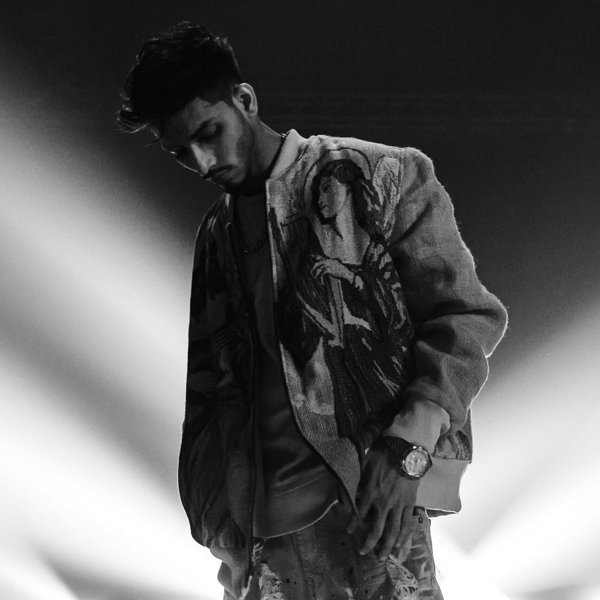 Talha Anjum