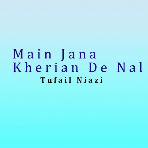 Tufail Niazi